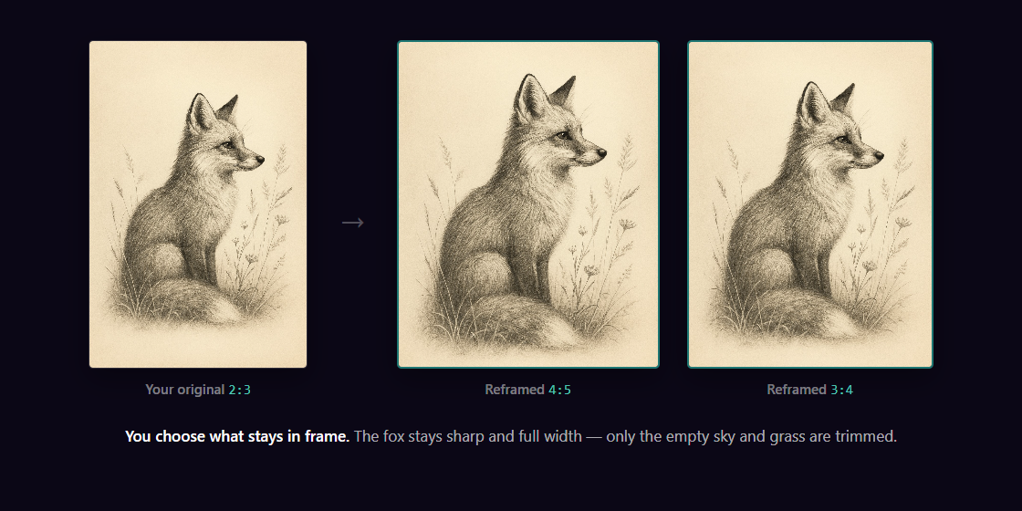 Fox art reframed from 2:3 to 4:5 and 3:4 with Perfect Fit, the fox kept full while empty sky and grass are trimmed