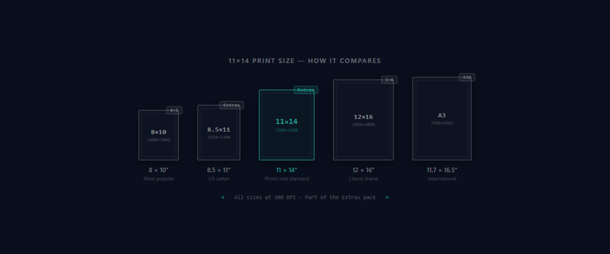 11x14 print size comparison diagram showing 8x10, 8.5x11, 11x14, 12x16, and A3 at scale