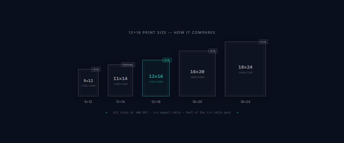 12×16 print size comparison with 9×12, 11×14, 16×20, and 18×24