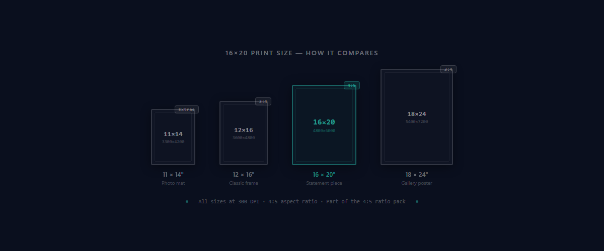 16x20 print size comparison diagram showing 11x14, 12x16, 16x20, 18x24, and 20x30 at scale
