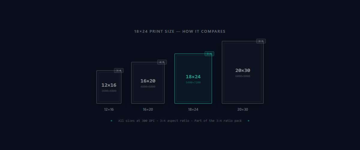 18×24 print size comparison with 12×16, 16×20, and 20×30