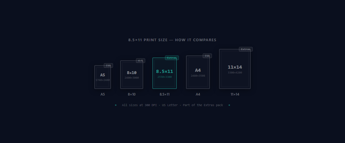 8.5×11 US Letter size comparison with A5, 8×10, A4, and 11×14