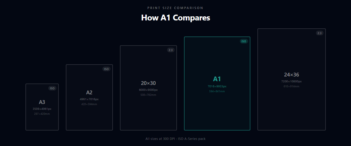 A1 print size comparison with A3, A2, 20×30, and 24×36