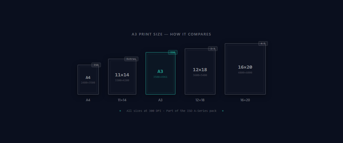 A3 print size comparison with A4, 11×14, 12×18, and 16×20