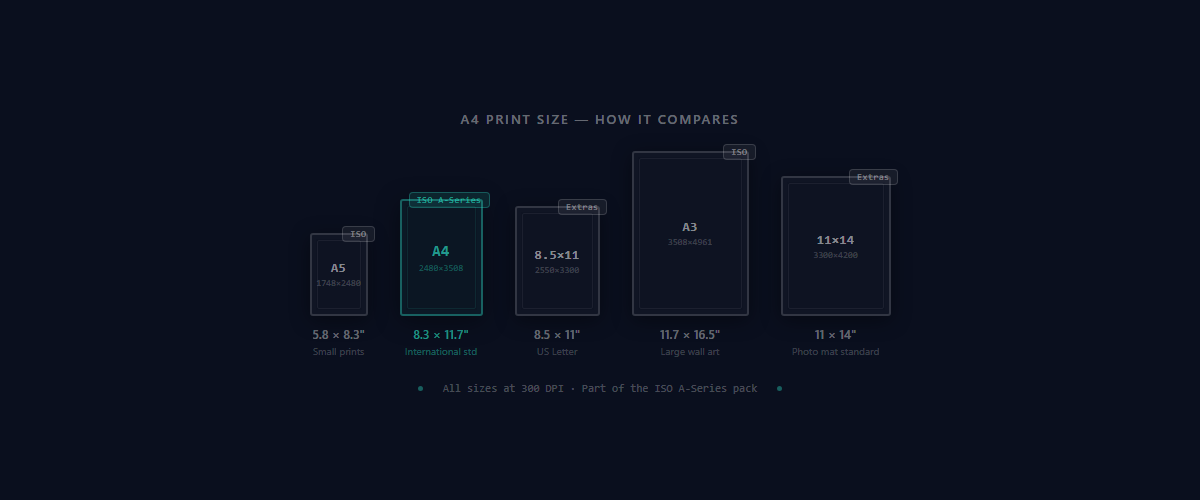 A4 print size comparison diagram showing A5, A4, 8.5x11, A3, and 11x14 at scale